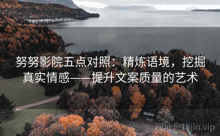 努努影院五点对照：精炼语境，挖掘真实情感——提升文案质量的艺术